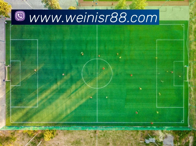 数据防护可视化